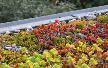 the cost of Dooish green roof installation