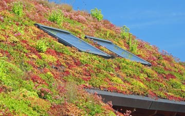 Dooish living roof systems