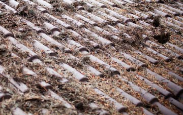 Dooish roof cleaning companies