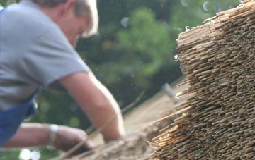 professional Dooish thatchers