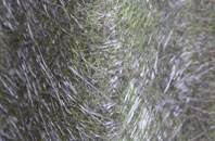 Dooish fibreglass roof work