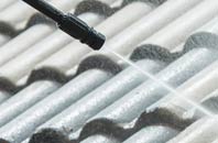 rated Dooish roof cleaning companies